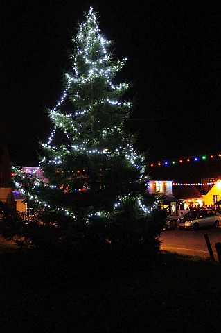 The tree at the bottom of the Green